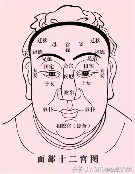 印堂面相|面相十二宮詳解——命宮